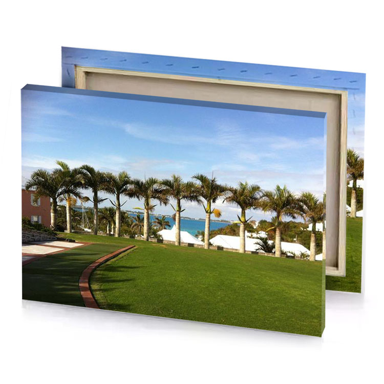 a grassy lawn with palm trees and blue sky dark olive green canvas