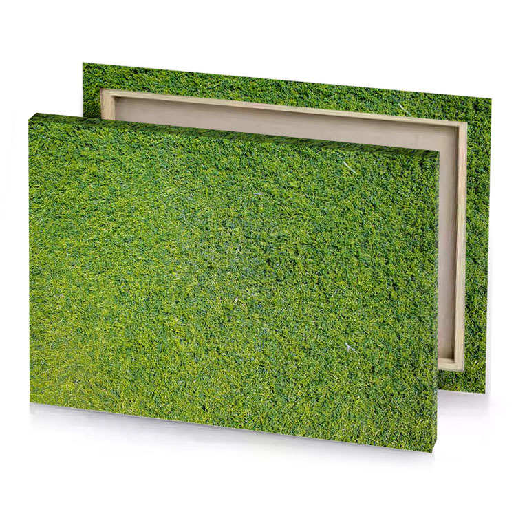 a green grass field with white line olive drab canvas