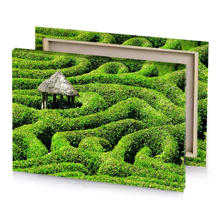 a green hedge maze with thatched hut in the middle zinnwaldite brown canvas