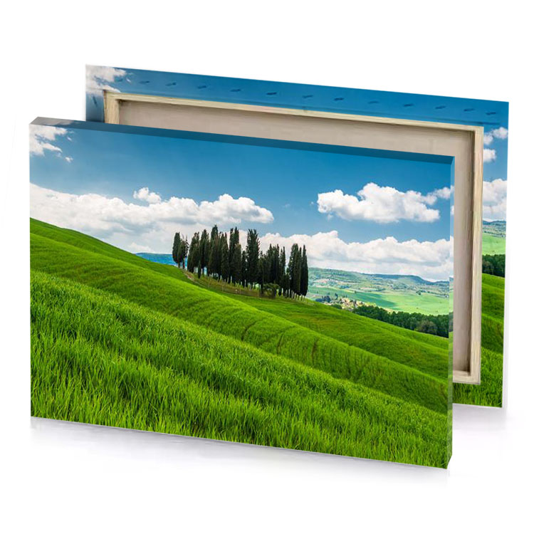 a green hill with trees and blue sky olive drab canvas