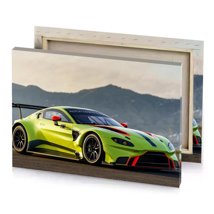 a green sports car golden rod canvas