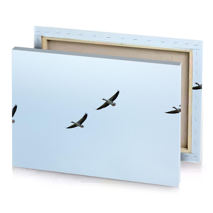 a group of birds flying in the sky smoky black canvas