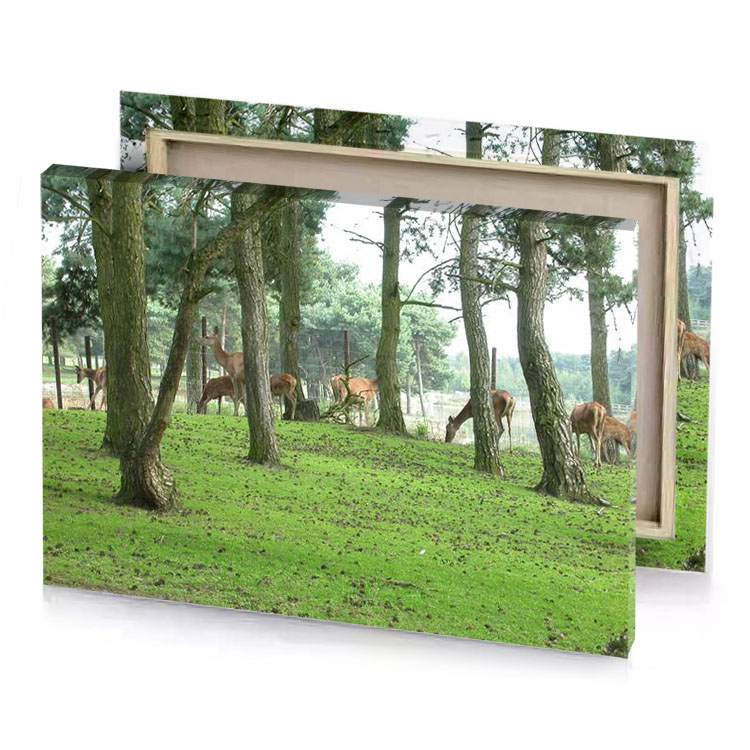 a group of deers in grassy field yellow green canvas