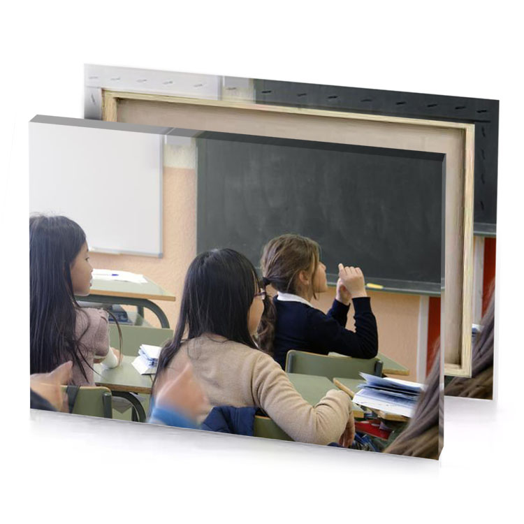 a group of girls sitting in classroom apricot canvas