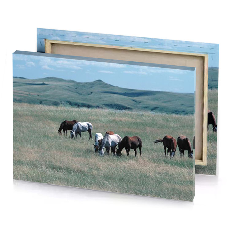 a group of horses grazing in field smoky black canvas