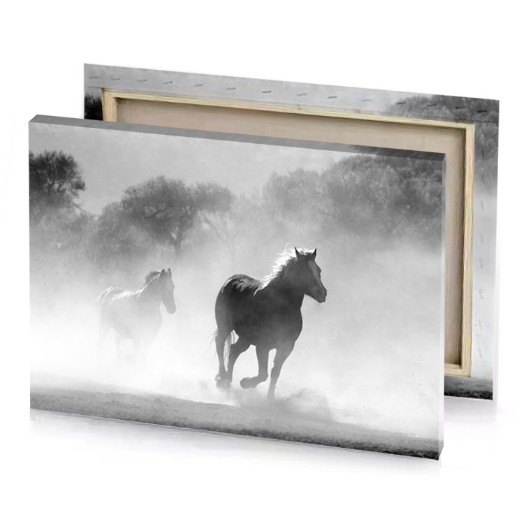 a group of horses running in the dust silver canvas