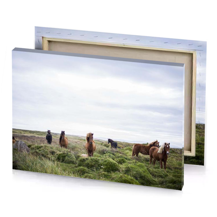 a group of horses standing in field white smoke canvas