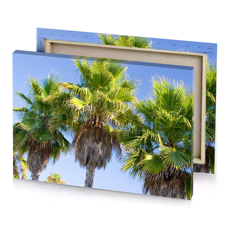 a group of palm trees dark olive green canvas