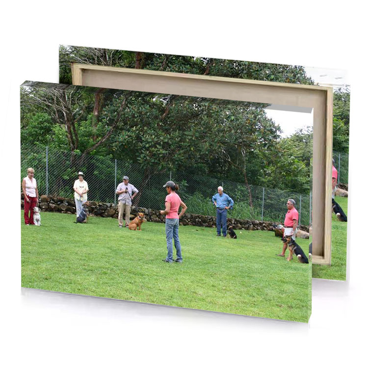 a group of people playing frcg in park dark sea green canvas