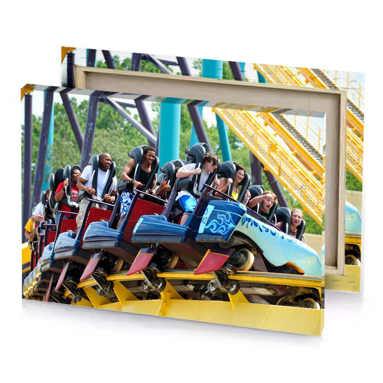a group of people riding roller coaster fawn canvas