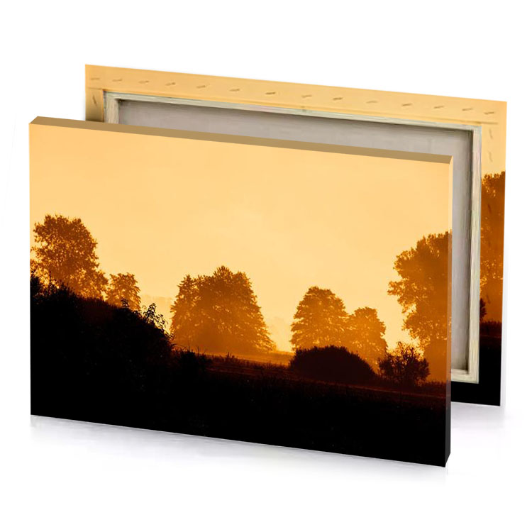 a group of trees khaki canvas