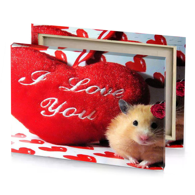 a ham hamy with heart shaped pillow lust canvas
