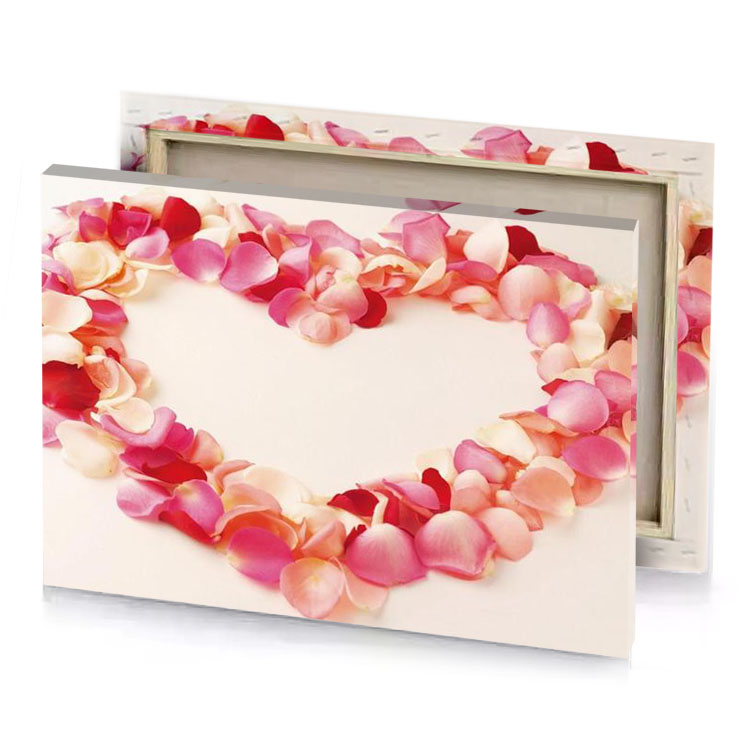 a heart made out of pink and white petals light coral canvas