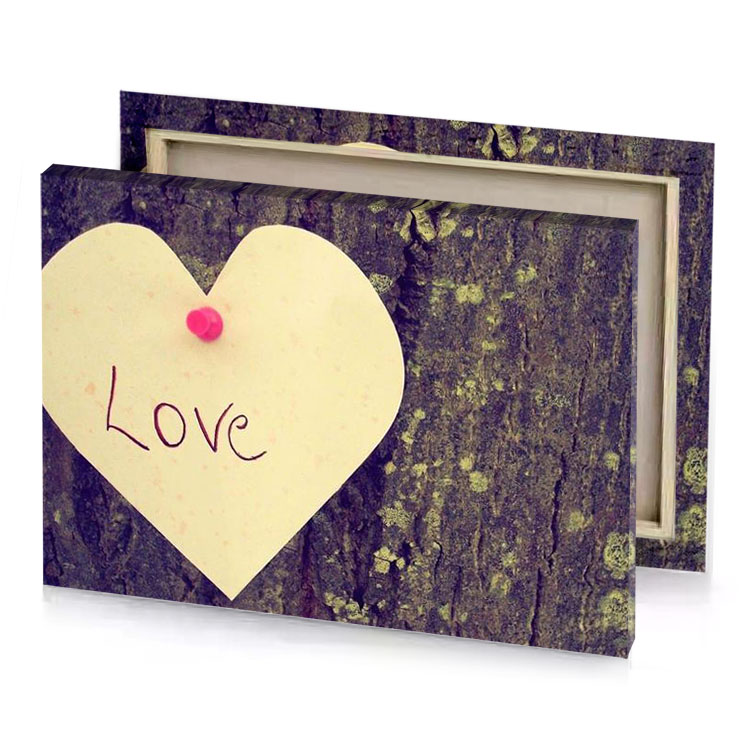 a heart on tree with the word love written it vanilla canvas
