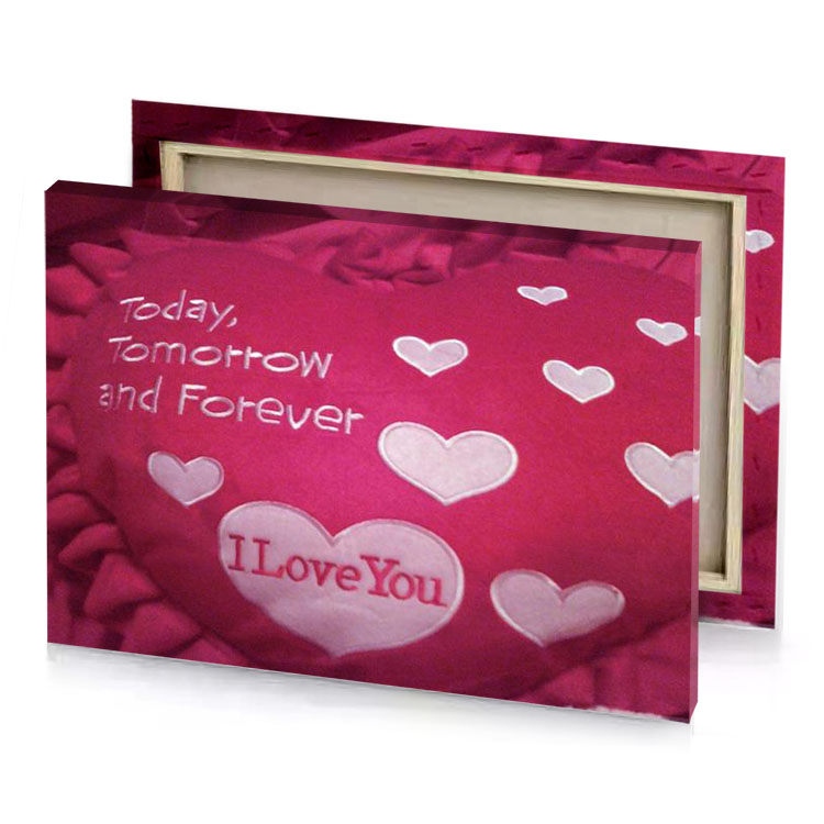 a heart shaped pillow with the words i love you razzmatazz canvas