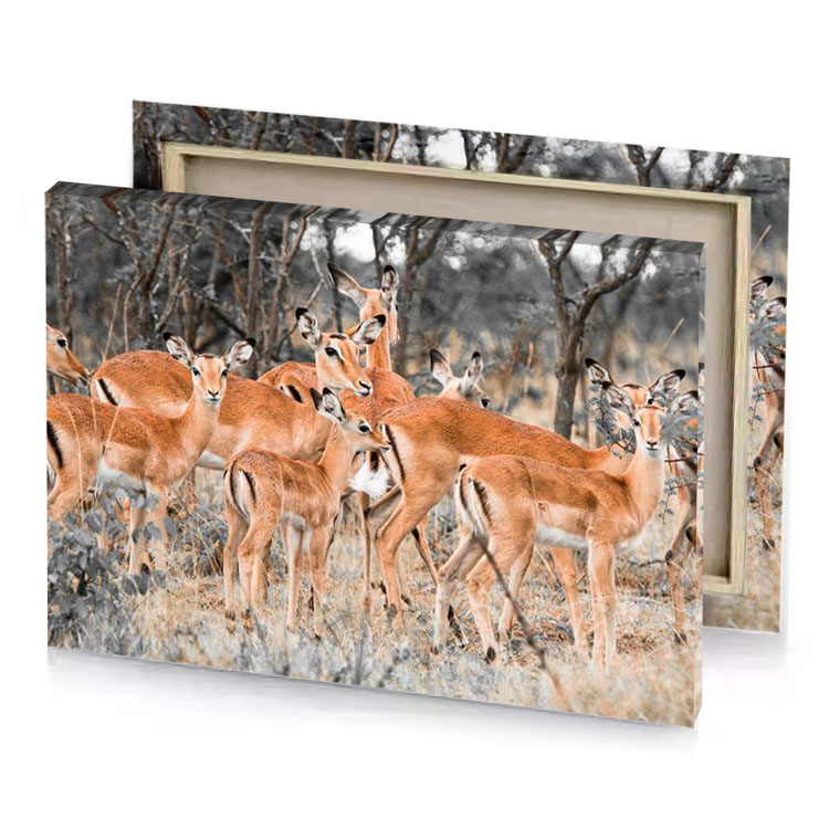 a herd of deer standing in field silver canvas