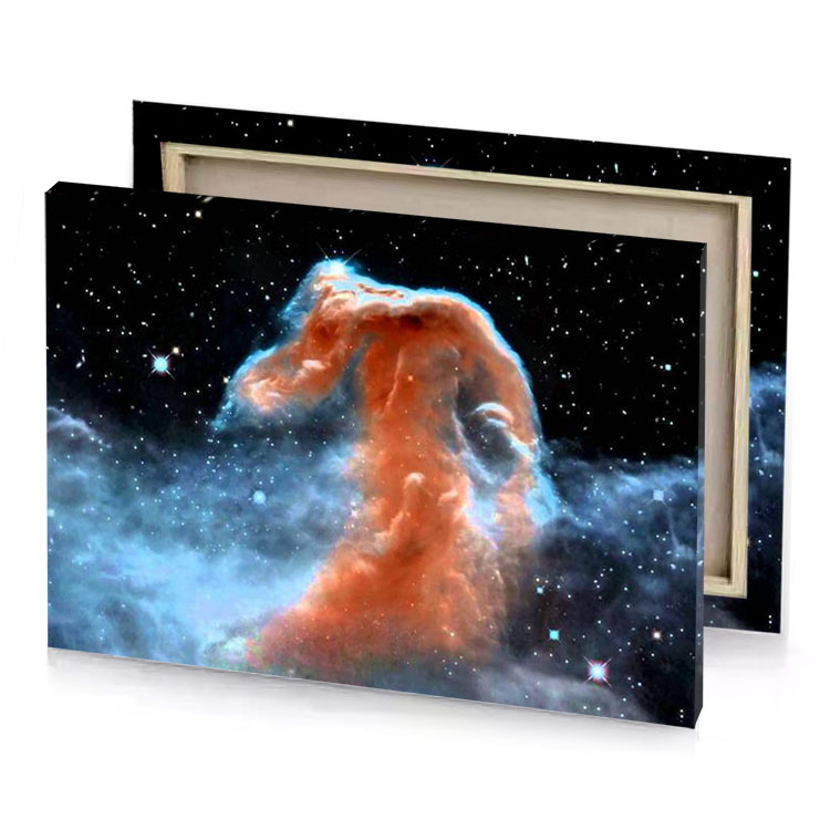 a horse head in the sky with stars copper canvas