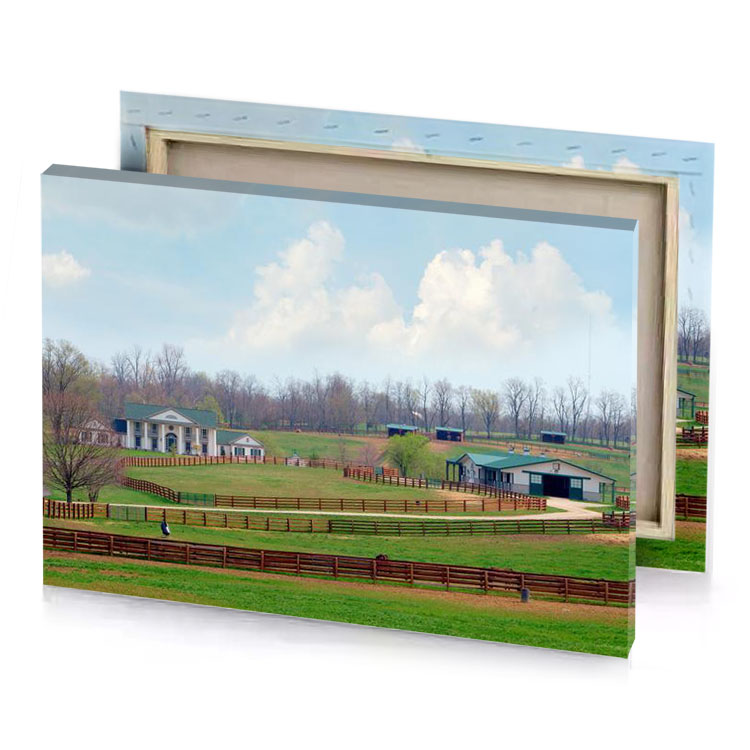 a horse is standing in fenced area olive drab canvas