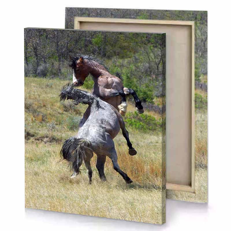 a horse is standing on its hinds in field silver canvas