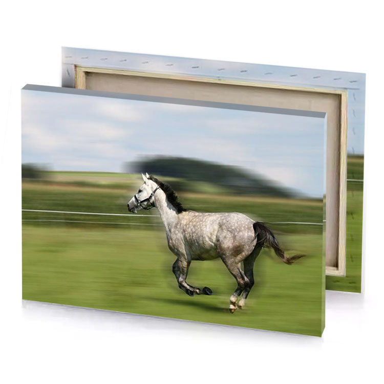 a horse running in field rosy brown canvas
