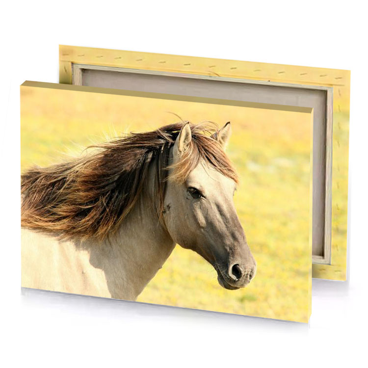 a horse with long mane standing in field camouflage green canvas