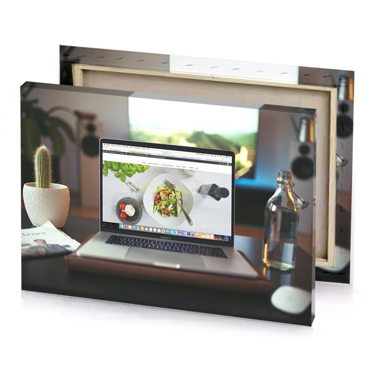a laptop computer sitting on desk with plant in the platinum canvas