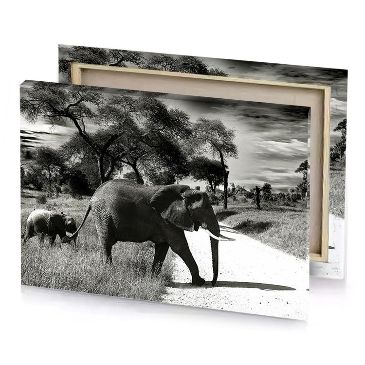a large elephant walking down dirt road smoky black canvas