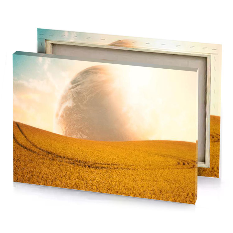 a large field of grass carrot orange canvas