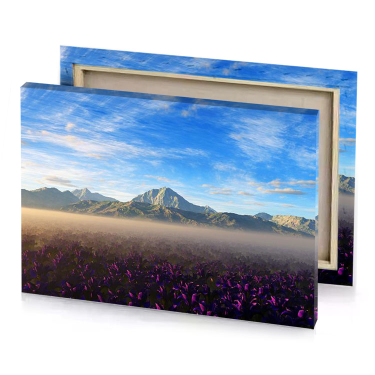 a large field of purple flowers with mountains in the blue jeans canvas