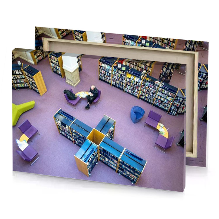 a large library with many books on the shelves rose quartz canvas