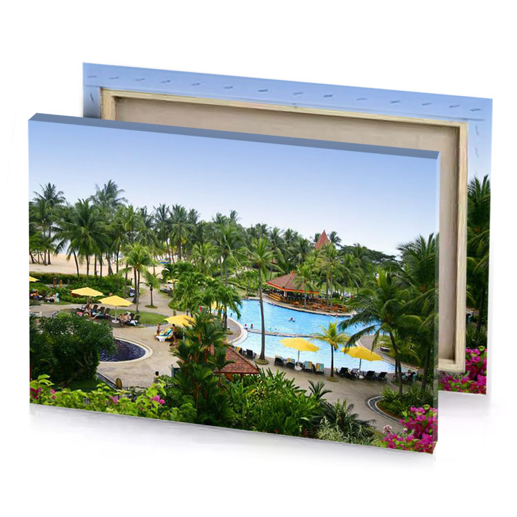 a large pool surrounded by palm trees fern green canvas