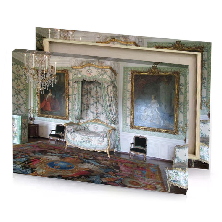 a large rug on the floor manatee canvas