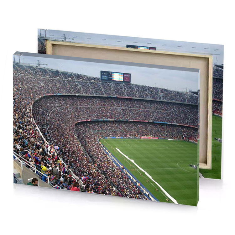 a large stadium filled with people fern green canvas