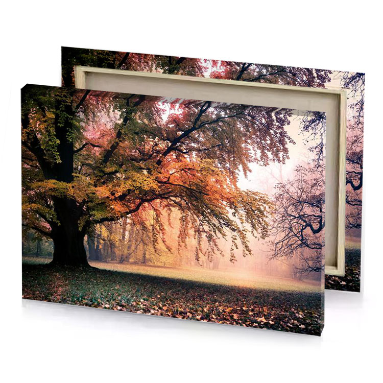 a large tree in park with leaves on the ground smoky black canvas