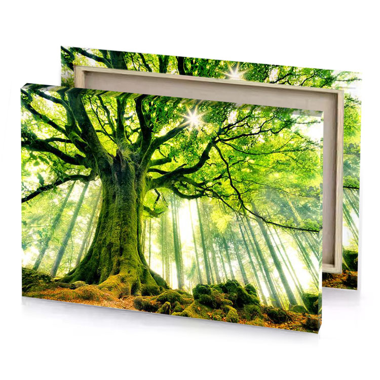 a large tree in the middle of forest dark olive green canvas