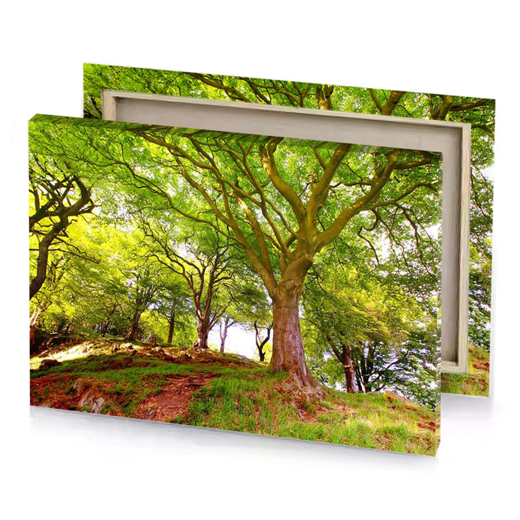 a large tree in the middle of forest olive drab canvas
