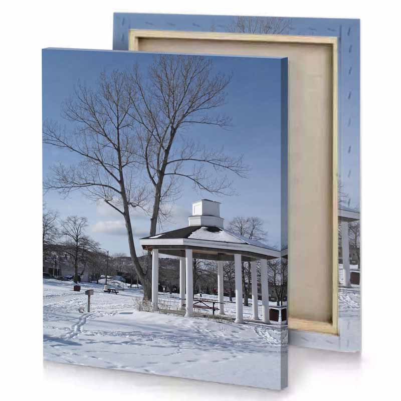 a large tree in the snow manatee canvas