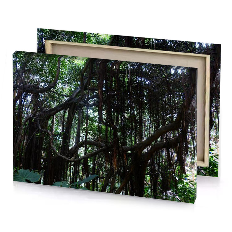 a large tree with many branches growing in the forest smoky black canvas