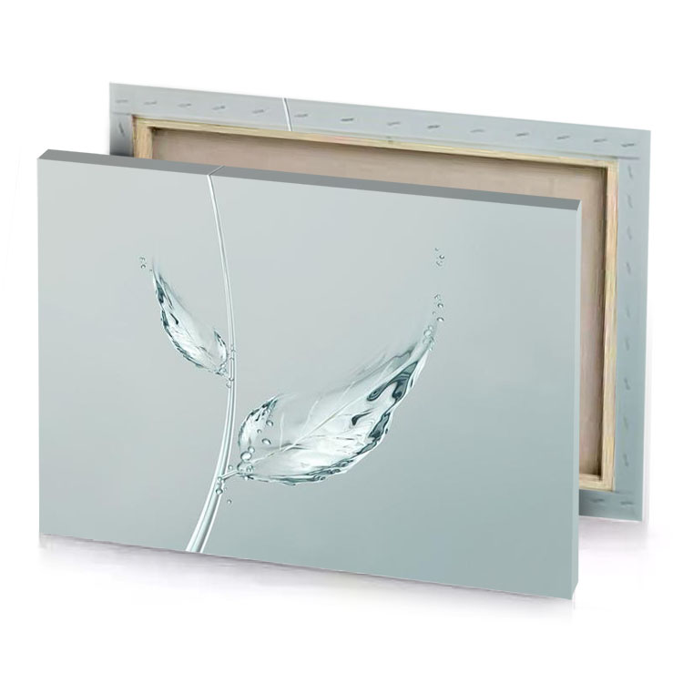 a leaf is in the water silver canvas