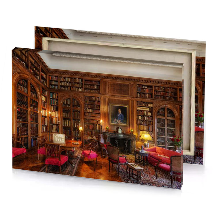 a library with fireplace and couch bistre canvas