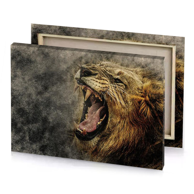 a lion roaring sepia canvas