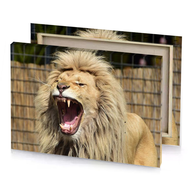 a lion with its mouth open and it s tan canvas