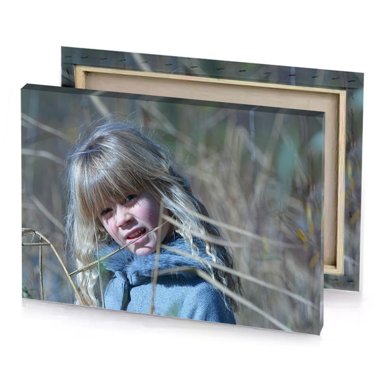a little girl in field of tall grass dim gray canvas