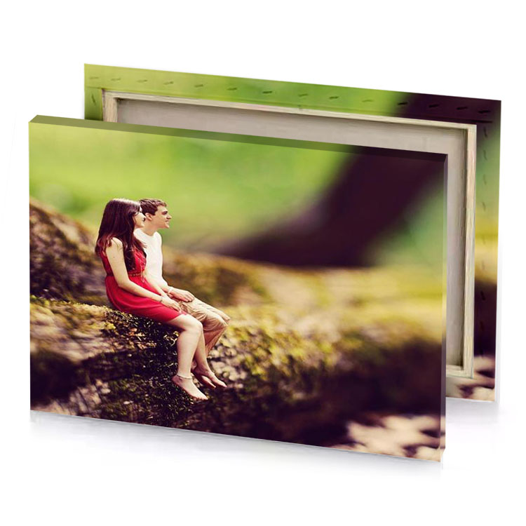 a little girl sitting on tree branch burlywood canvas