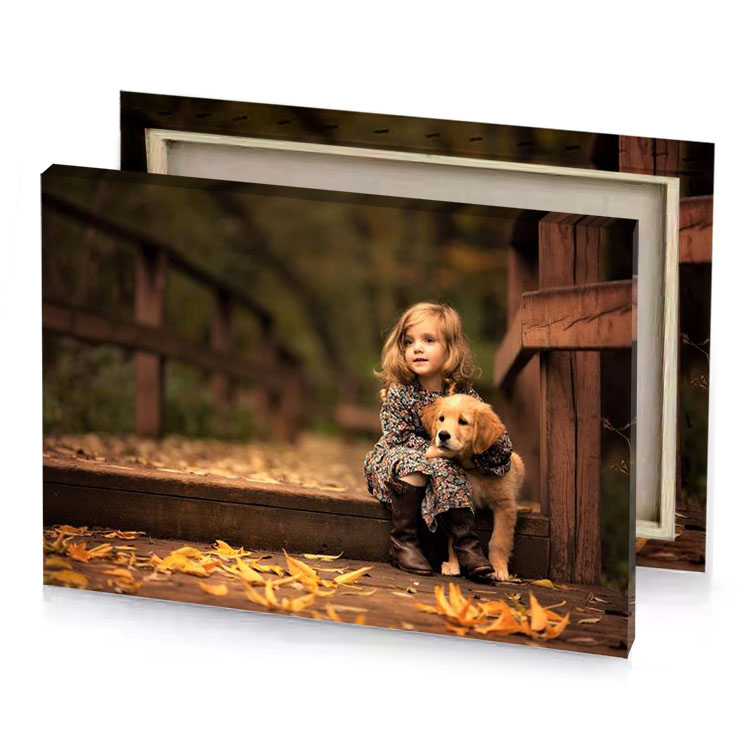 a little girl sitting on wooden bench with dog peru canvas