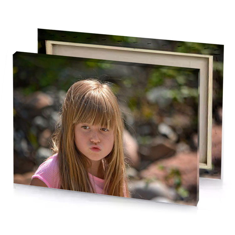 a little girl with long hair and pink shirt bistre canvas