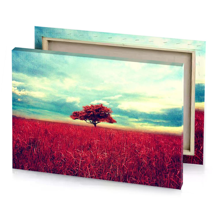 a lone tree in field of tall grass brown canvas