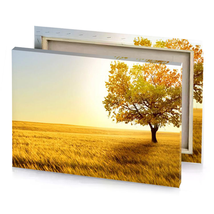 a lone tree in field of wheat yellow orange canvas