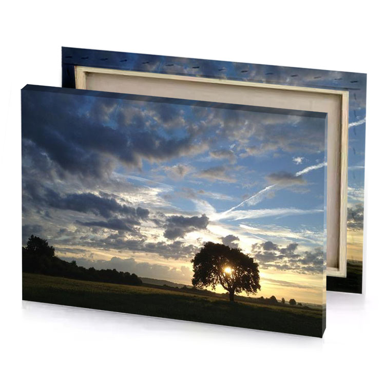 a lone tree in field with cloudy sky manatee canvas