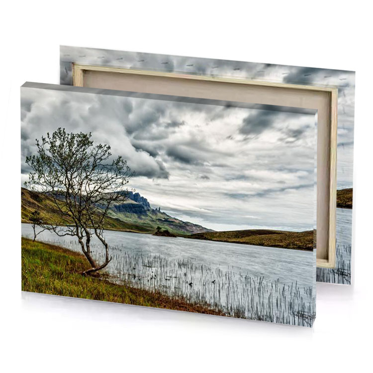 a lone tree in lake platinum canvas